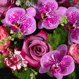 Designers Choice Floral - Jewel