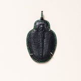 Trilobite Fossil Pendant