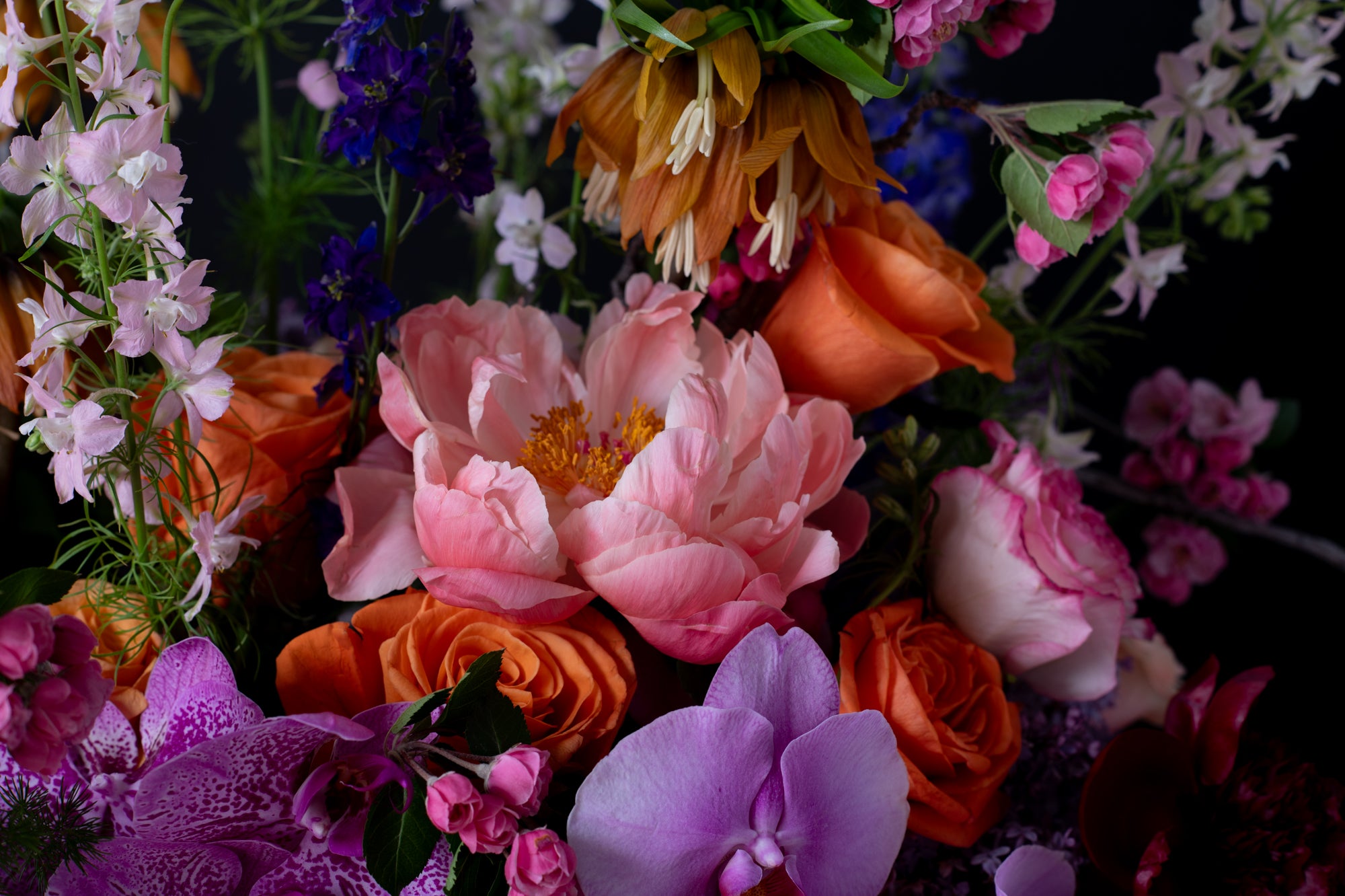 Opulent mix of orchids, peonies, and other blooms in a grand arrangement by Bloom by Anuschka, highlighting expert flower crafting skills.
