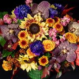 Sunanda
