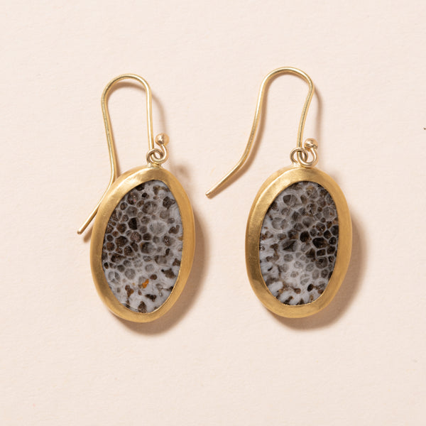single fossilized coral drop earrings