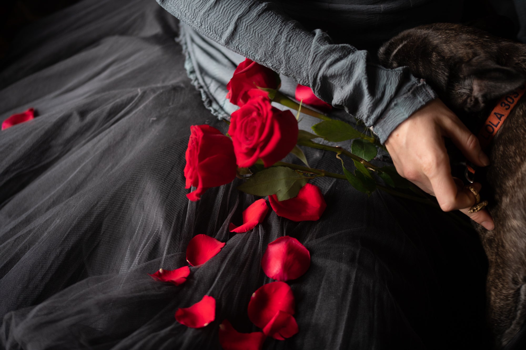 Valentine's Gift Guide