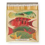 Natural History Museum Fish | Square - Safety Matches