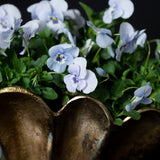 Pansies in Gold Shell Pot - Stormy Blue