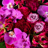 GLORIOSA