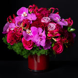 GLORIOSA