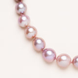 Edison Freshwater Pearl with Gold Plated Clasp Necklace