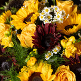 Sunflower - Large