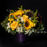 Sunflower - Small
