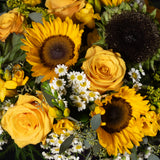 Sunflower - Small