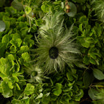 Elegant green floral arrangement featuring textured foliage and unique botanical elements, showcasing Bloom by Anuschka’s expert flower crafting.