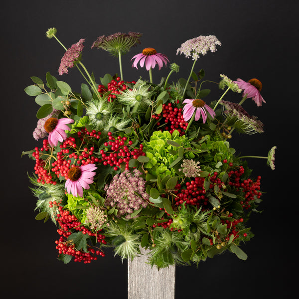 Fall Wildflower