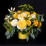MIdsummer Night's Dream -Yellow