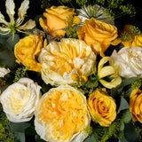 MIdsummer Night's Dream -Yellow