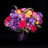 Bright Hydrangea
