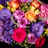 Bright Hydrangea