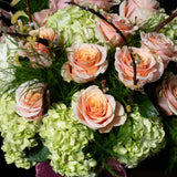 DESIGNER'S CHOICE FLORAL - MAUVE MARNI OWL Large