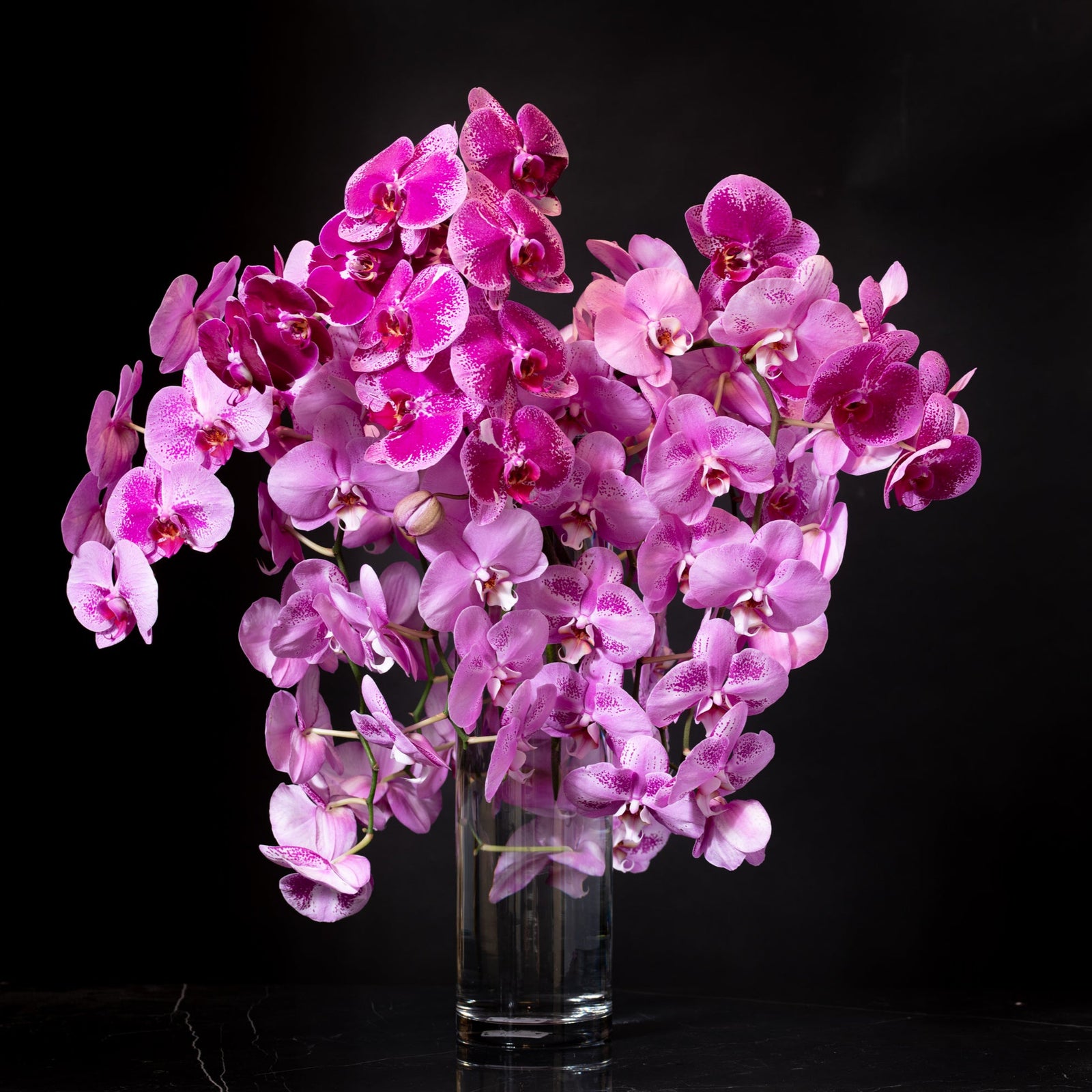 Denver Flower Boutique