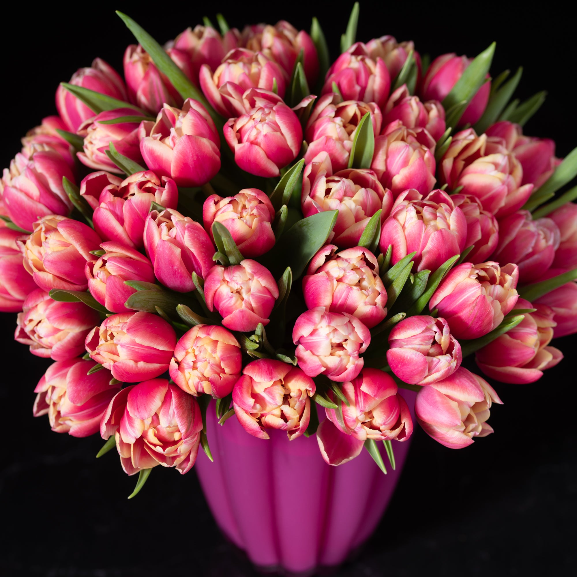 A vibrant tulip arrangement featuring rich pink hues, presented in a bold pink vase, highlighting Bloom by Anuschka’s floral artistry.