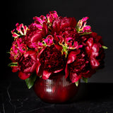 Red Explosion