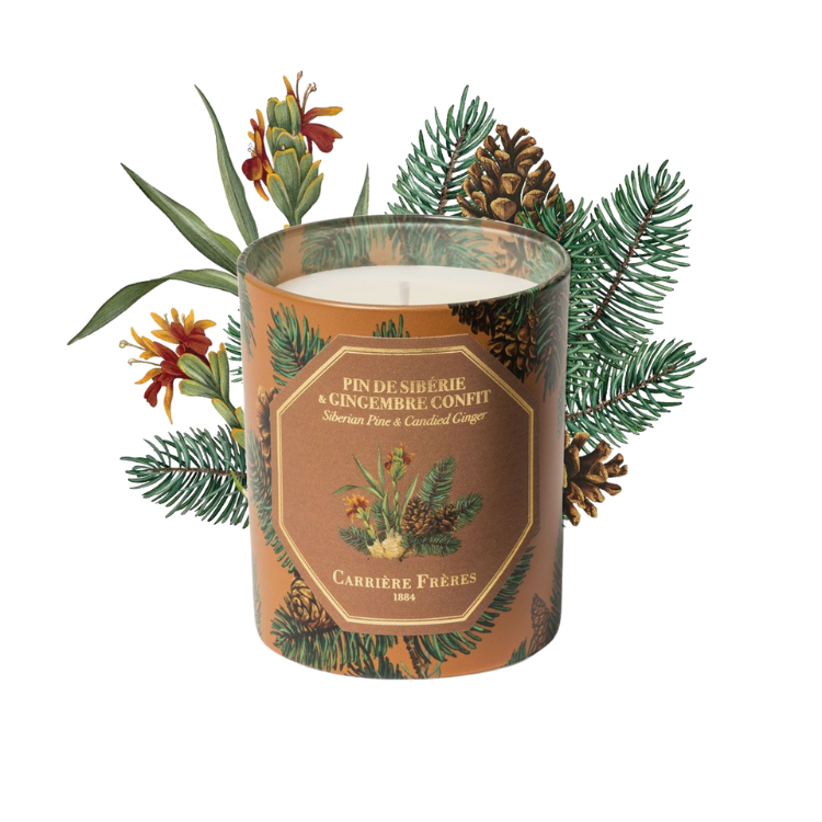 Siberian Pine & Candied Ginger Candle