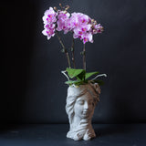 Women's Head Statue Vase with Planted Mini Orchid