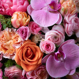 Mother's Day Designers Choice Floral - Bright