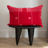 Oaxacan Hand Embroidered Cotton Pillows 20.5” x 31.5”