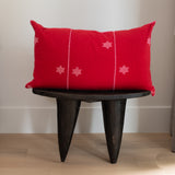 Oaxacan Hand Embroidered Cotton Pillows 19” x 31.5”