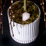 The Tree of Enchantment