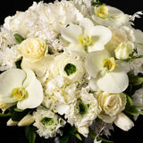 Mother's Day Designers Choice Floral - White