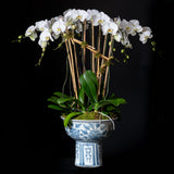LARGE ORCHID PLANTER - BLUE CRANE