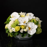 A luxurious white floral centerpiece featuring orchids, roses, and hydrangeas in a modern glass vase, designed by Bloom by Anuschka, a premier florist shop in Denver.