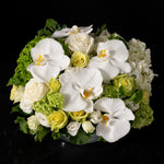 Elegant white orchid and rose arrangement with soft green hydrangeas, showcasing Bloom by Anuschka’s expert flower crafting and floral artistry.