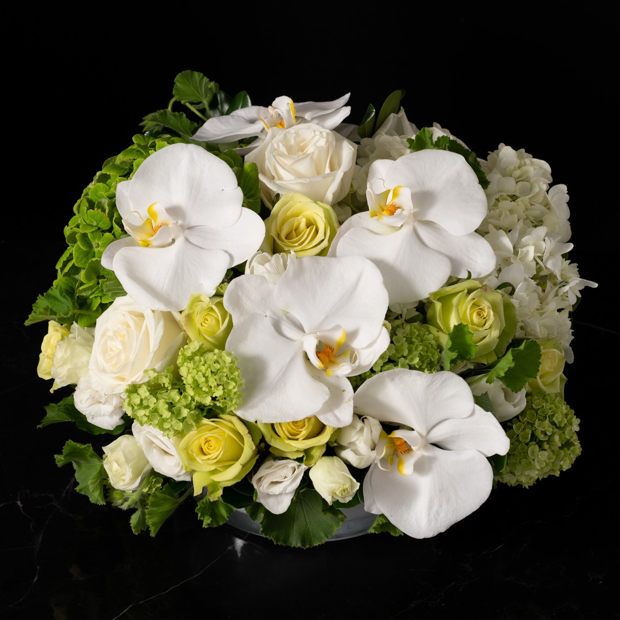 Elegant white orchid and rose arrangement with soft green hydrangeas, showcasing Bloom by Anuschka’s expert flower crafting and floral artistry.