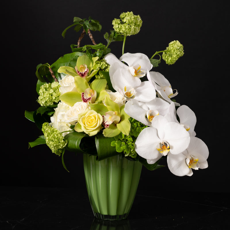 Bloom Pure Modern