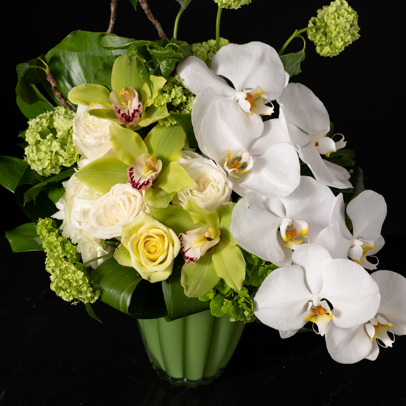 Bloom Pure Modern