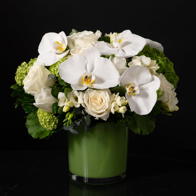 Bloom Pure Gift