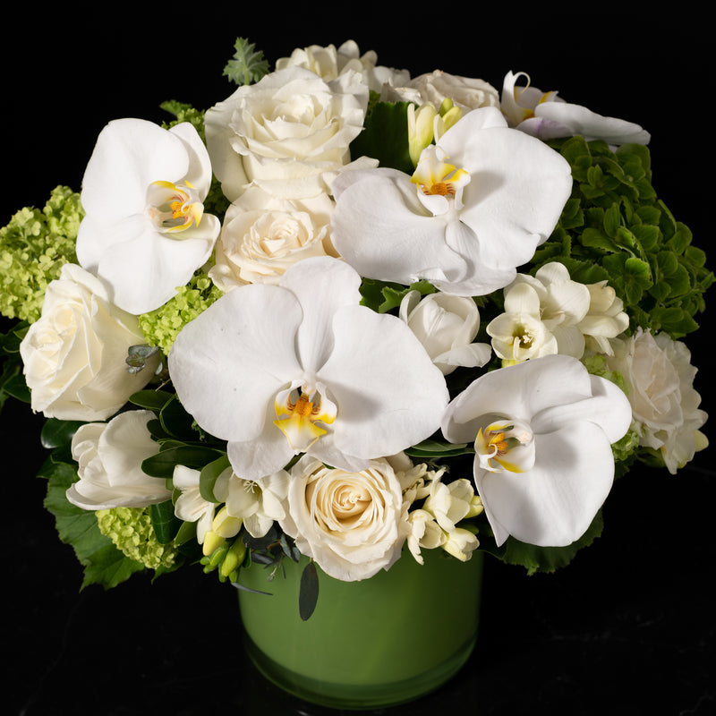 Bloom Pure Gift