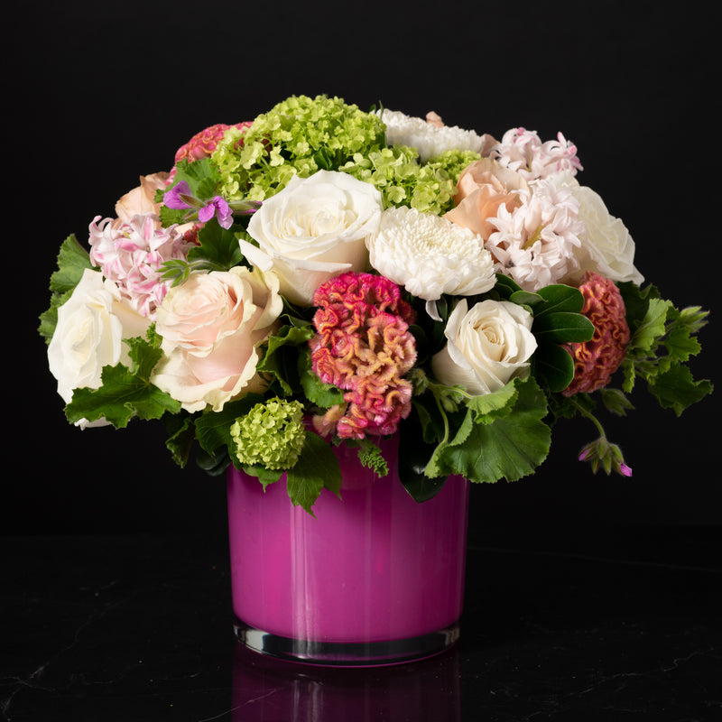 Bloom Harmony Gift