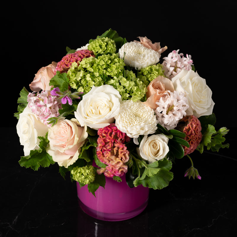 Bloom Harmony Gift