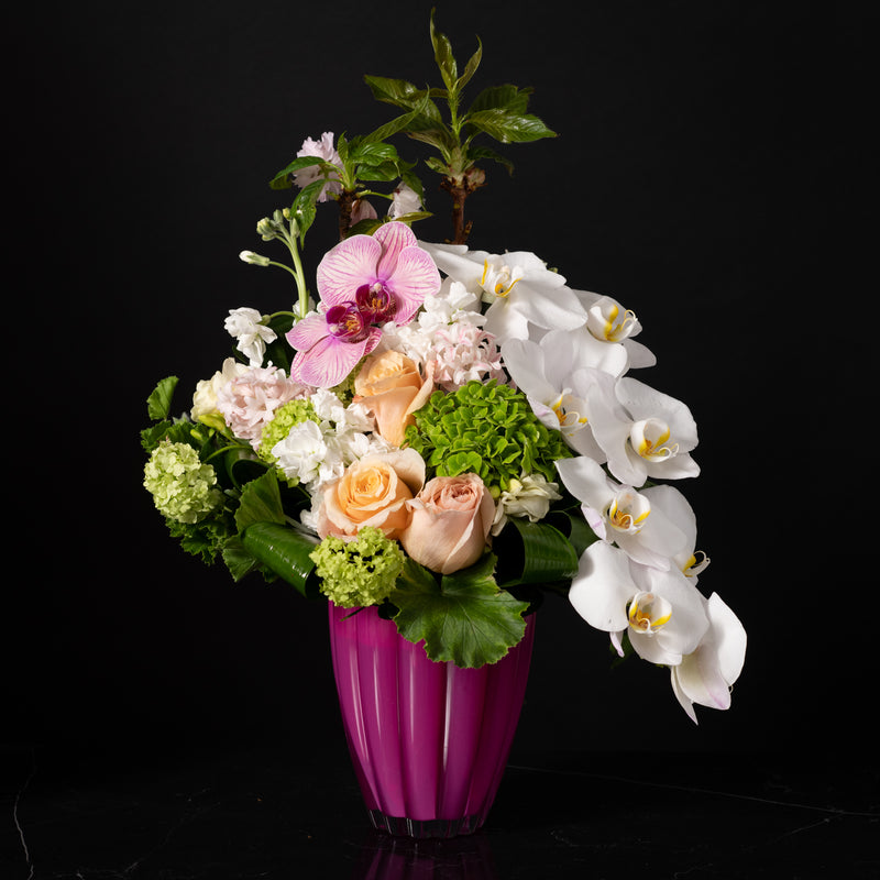 Bloom Harmony Modern