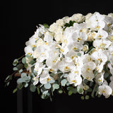 Full Casket - White