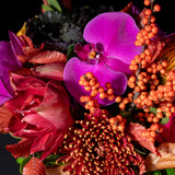 Abundance Trio - Bright