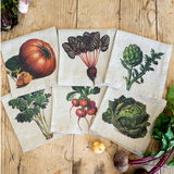 Napkins VEGETABLES NEW