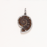 Ammonite, Silver & Diamond Pave Pendant