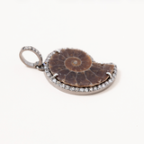 Ammonite, Silver & Diamond Pave Pendant