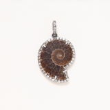 Ammonite, Silver & Diamond Pave Pendant
