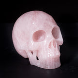 6" Rose Quartz Skulls
