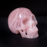 6" Rose Quartz Skulls